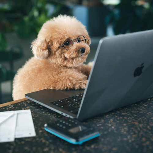 ホームページ制作