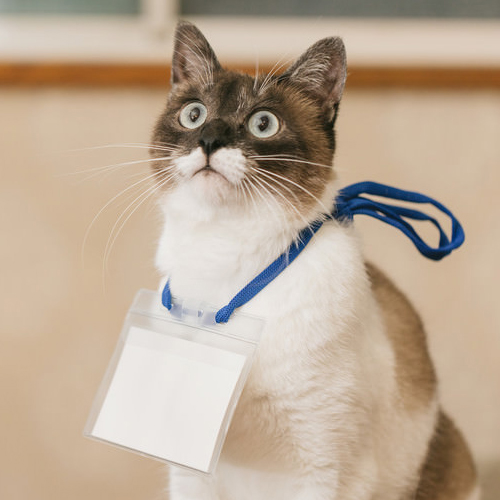 企画・イベント